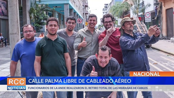 Palma Brilla: ANDE realizó el retiro total de los cables aéreos