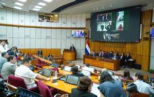 PGN 2024: comisiones del Senado reasignan gastos por US$ 18 millones - Economía - ABC Color