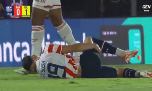 (VIDEO). Polémico: ¿Fue o no penal esta jugada que involucró al pelotero Ramón Sosa?