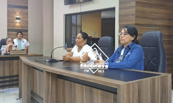 Feriantes de Presidente Franco sueñan con local propio