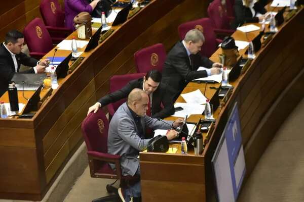 Cámara de Senadores analiza hoy proyecto que regula a las ONG - Política - ABC Color