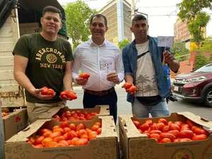Precio mayorista del tomate cae 40%, y se vende a G./Kg 7.000 - Nacionales - ABC Color