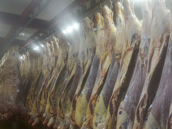 Completaron el cupo de 10.000 toneladas de carne para enviar a EE.UU. - La Tribuna