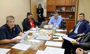 Comisión presidida por “Tiki” promueve audiencia pública para modificaciones en Ley del Fonacide – Diario TNPRESS