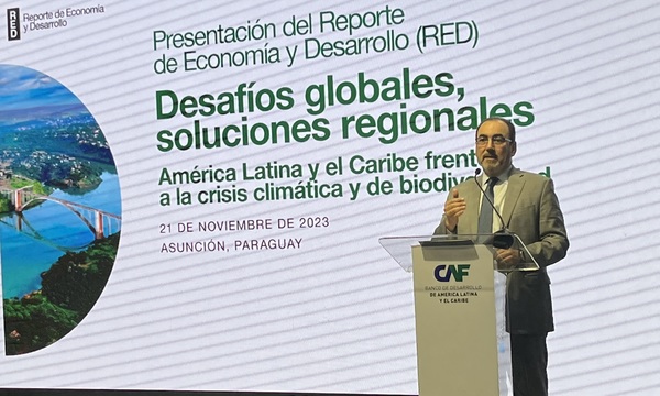 Paraguay, el país con el mayor nivel de deforestación en la región según estudio - MarketData