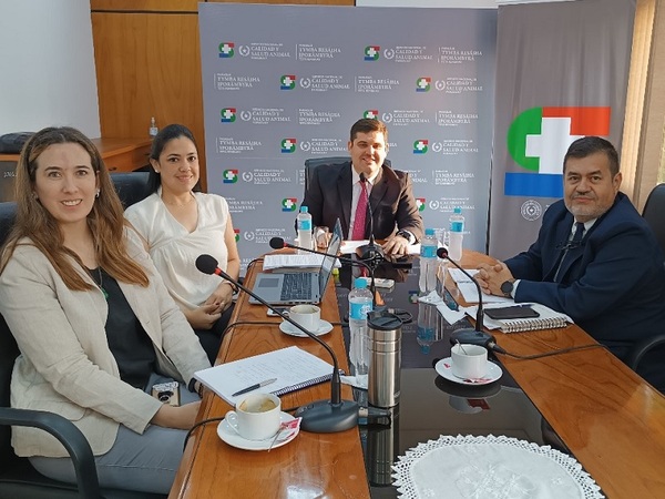 Reanudan reuniones para habilitar el mercado para la carne paraguaya en Japón - La Tribuna