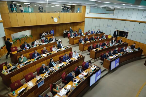 Senado analizará hoy proyecto que regula dinero que reciben las ONG’s - ADN Digital