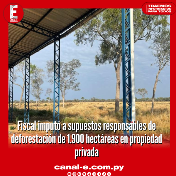 Fiscal imputó a supuestos responsables de deforestación de 1.900 hectáreas en propiedad privada
