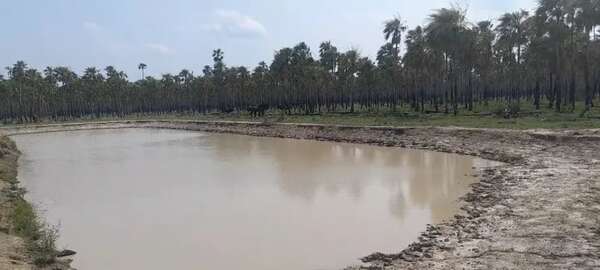 Lluvias generan esperanzas en Alto Paraguay - Noticias del Chaco - ABC Color