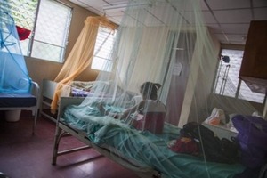 Plan de contingencia contra el dengue del Hospital de Clínicas - Portal Digital Cáritas Universidad Católica