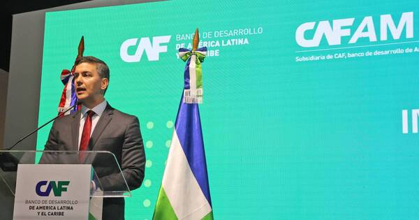 La Nación / Peña destacó ante CAF plan económico para impulsar inversión, comercio e integración