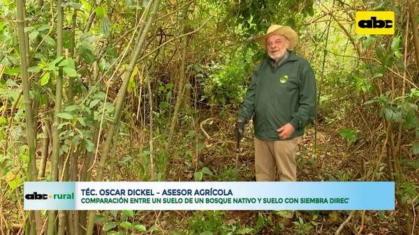 Video: comparación entre un suelo de bosque nativo y suelo con siembra directa - ABC Rural - ABC Color