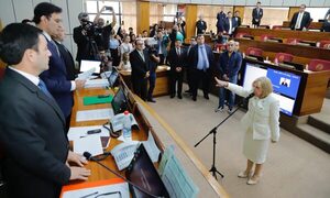 Senado tomó juramento a Alicia Pucheta como miembro del Consejo de la Magistratura - trece