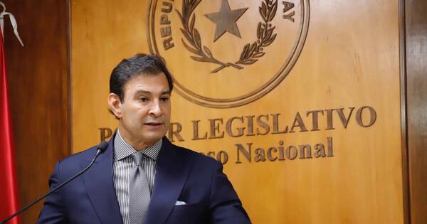 La Nación / Con el juramento de Pucheta “se restableció el ordenamiento constitucional en el Senado, dice Ovelar