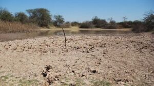 Lo contrario a Santiago Peña: Ministro de Agricultura "duda" del cambio climático