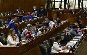 Tres intendentes cartistas se salvan de la intervención en Diputados - Política - ABC Color