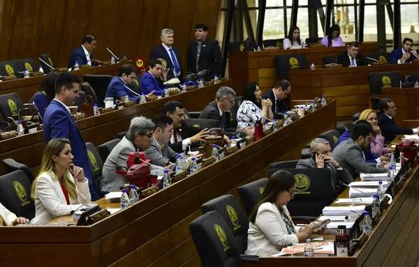 Tres intendentes cartistas se salvan de la intervención en Diputados - Política - ABC Color