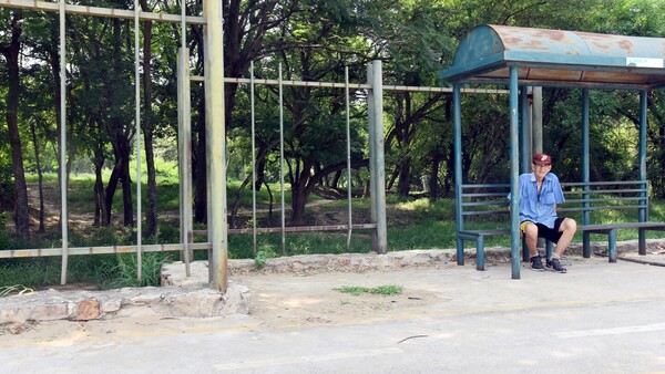 El Jardín Botánico sumido en la inseguridad tras robos