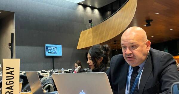 La Nación / Paraguay presentó ante la OMC reformas agrícolas sobre acceso a mercados