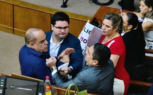 Repudian agresión de Bachi a Nakayama - Política - ABC Color