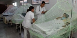 Instan a la consulta precoz ante casos de dengue grave en niños » San Lorenzo PY