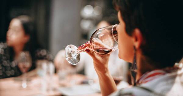 La Nación / ¿Por qué el vino tinto puede causar dolor de cabeza?