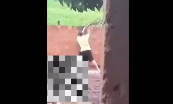 Lo apresaron por golpear vaipaite a un pitbull