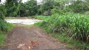 Hallazgo de mujer sin vida a orillas del arroyo Kuri'y: No descartan feminicidio o homicidio