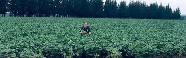 Lluvia mantiene buenas expectativas en el sector agro del Alto Paraná - ABC en el Este - ABC Color