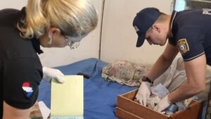 Detienen a joven que habría difundido pornografía infantil en WhatsApp | 1000 Noticias