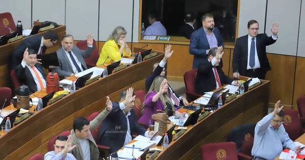 La Nación / PGN 2024: Senado disminuye recursos al Mitic y destina G. 2 mil millones al Ministerio de la Mujer