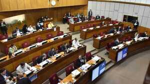 Senado reintroduce modificaciones al PGN 2024