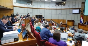  Cámara de Senadores aprobó proyecto del PGN 2024 con modificaciones