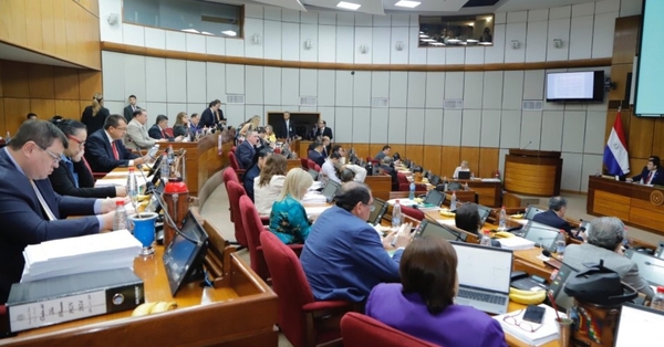 Cámara de Senadores aprobó proyecto del PGN 2024 con modificaciones
