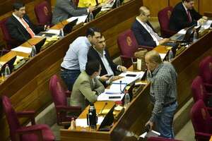 Ley de control cartista a las ONG fue postergada  en el Senado  - Política - ABC Color