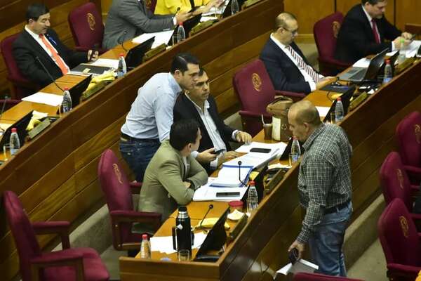 Ley de control cartista a las ONG fue postergada en el Senado - Política - ABC Color