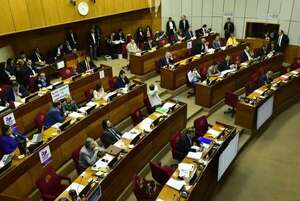 Senado crea Instituto Superior Nacional de Música  - Política - ABC Color