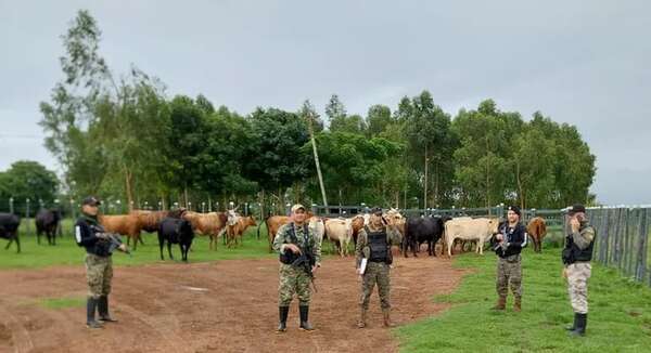 Policías recuperaron animales robados de la estancia del obispado de Villarrica del Espíritu Santo - Policiales - ABC Color