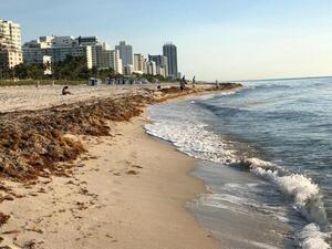 Ya no se podrá fumar en las playas ni en las plazas de Miami