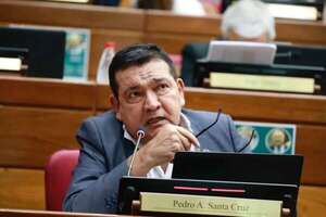 El cartismo busca el copamiento de la Justicia, según exsenador Santa Cruz - Política - ABC Color