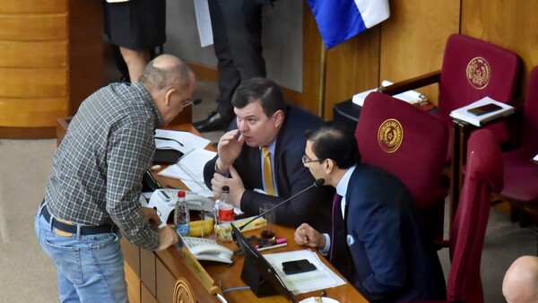 Senado aprueba con ampliaciones el PGN, pese al pedido del Ejecutivo