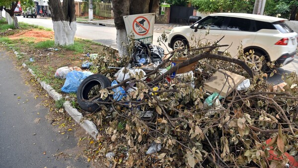Criaderos aumentan, no se eliminan y epidemia de dengue vuelve al acecho