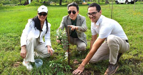 La Nación / Embajada de Corea apoya la reforestación