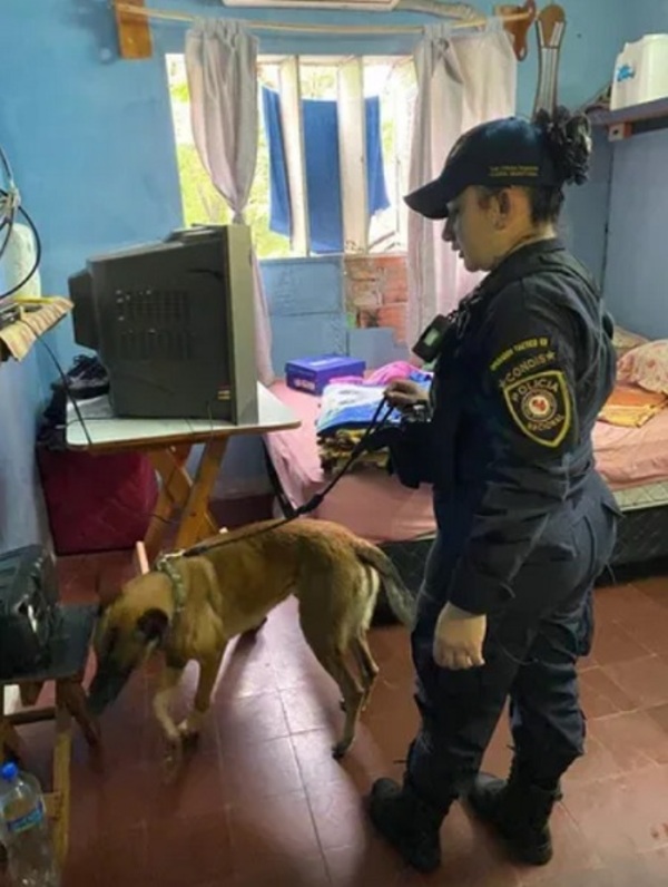 Según el director de la Agrupación Especializada, el vídeo de 'presos VIP' es 'antiguo'
