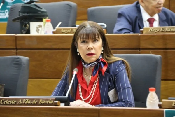 Eliminar subsidios políticos favorecería que el “dinero sucio” gobierne en el Congreso