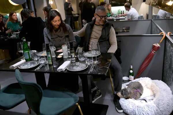 Los perros de Roma ya tienen su restaurante gurmé - Mascotas - ABC Color