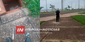 LADRONES DE CABLES FUERON DETENIDOS EN LA COSTANERA DE ENCARNACIÓN  - Itapúa Noticias