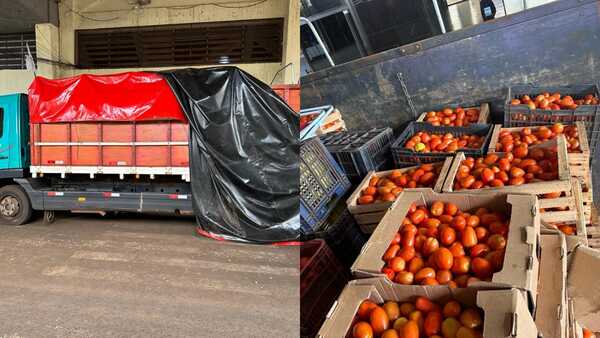 Decomisan gran cargamento de tomates en Trinidad