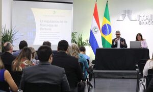 Itaipu organizó seminario sobre nuevo marco legal de créditos de carbono