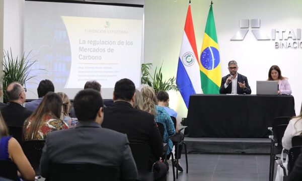 Itaipu organizó seminario sobre nuevo marco legal de créditos de carbono